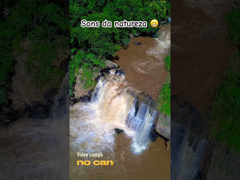 Cachoeira Das Andorinhas - Sons Da Natureza. #Monte Alegre Do Sul-SP.