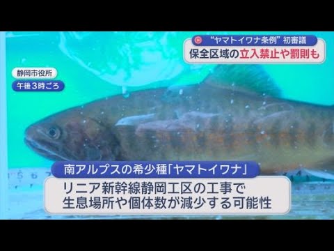 YouTube Video 【リニア】着工で南アルプスの希少種ヤマトイワナがピンチに　保全のための条例制定目指す審議スタート　静岡市