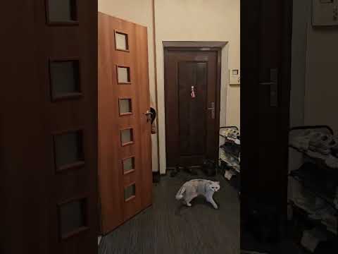 1-комнатная квартира с ремонтом и меблировкой в Чудо-Городе, возле моря и парка, с подземным паркингом