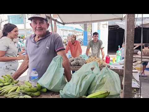 Feira Livre de Jaqueira Pernambuco CASSIANO OFICIAL 8141