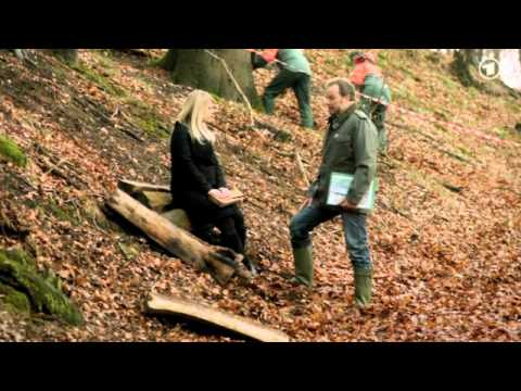 22 Ansgar von Lahnstein - Verbotene Liebe - 31.05.2011