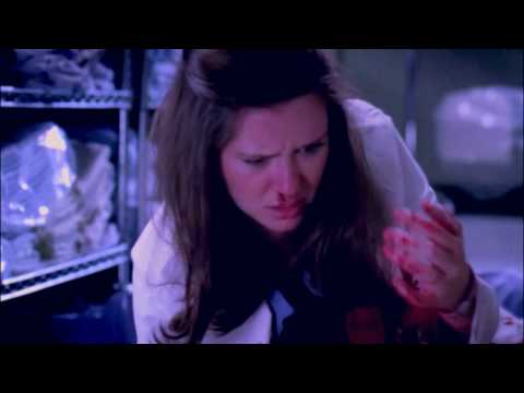 Grey's Anatomy Season 6 Finale - Nothing and Everything Red