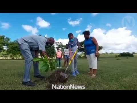 Nation Update Tree planted for World Children’s Day