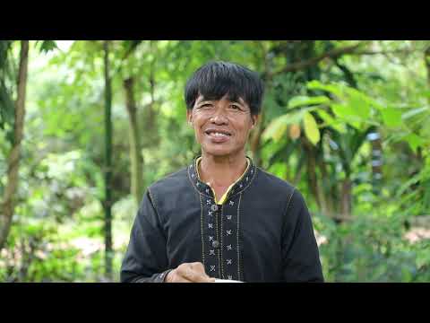 รักษ์ผืนดิน ถิ่น ส.ป.ก. ปี ๓ : (๙) แปรรูปชาผักหวานจำหน่าย สร้างรายได้ให้ชุมชน