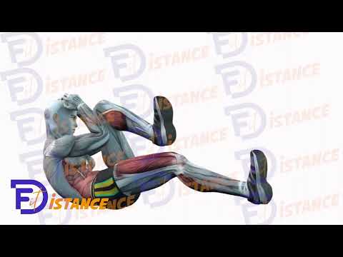 Exercice Crunch Croisé (criss cross)