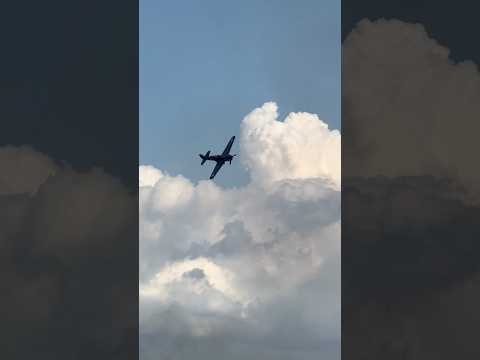 A great warbird flyby done by a P-40 Warhawk #shorts #aviation #ww2 #warbird #history