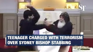 Teenager charged with terrorism over Sydney bishop stabbing