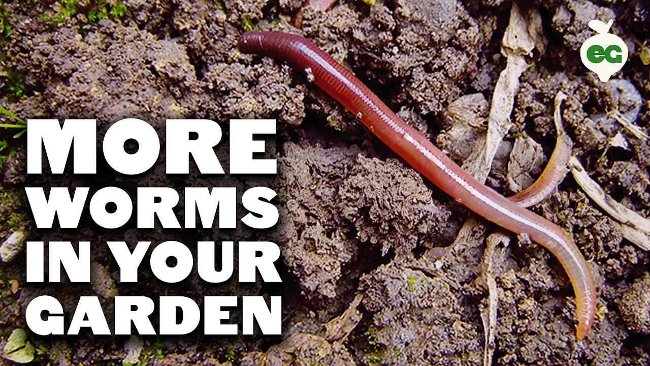 Do Earthworms help plants? More REF