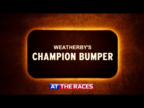 Cheltenham 2015: Champion Bumper