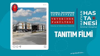 İstanbul Üniversitesi-Cerrahpaşa | Veteriner Fakültesi Hayvan Hastanes