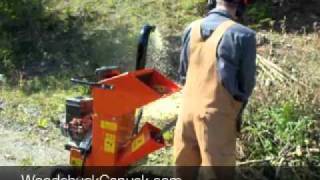 Bearcat 3" Chipper/Shredder Model 70085 with optional blower attachment