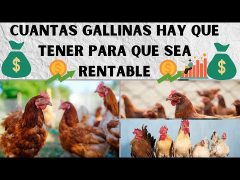 , title : '📢Cuantas Gallinas Hay Que Tener Para Que Sea Rentable 2023📢'