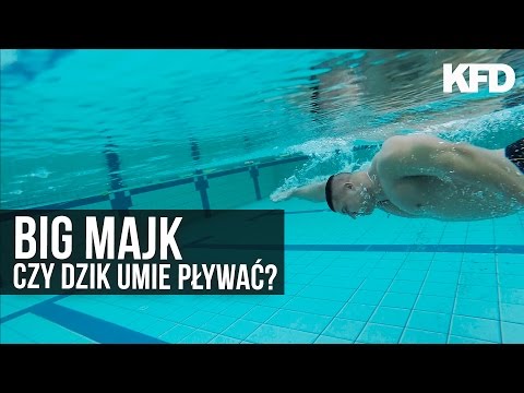 BIG MAJK: Morning cardio and relaxation at the Aquapark - KFD
