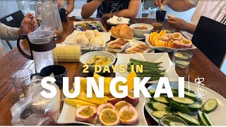 The Most Comfy HOMESTAY ever 🇲🇾 Hot spring, Salted Chicken | 2D1N in Sungkai