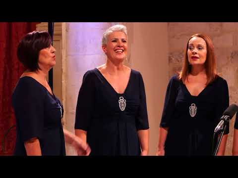 Klapa Amfora - U zemlju latinsku - Knežev dvor 26.09.2025.