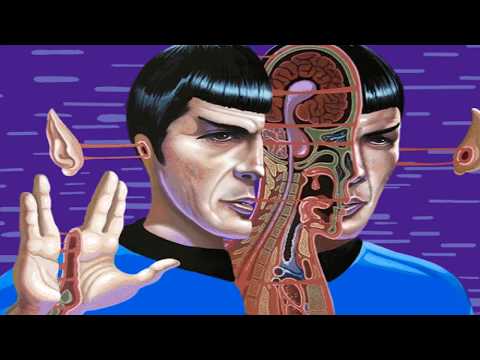 Vicen Silvero - Reality (Extended Mix) (Performed by Heart Rate)