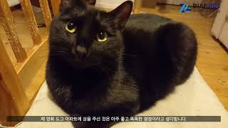 BIAF2022 국제경쟁 단편 애니비초이스 [도그 아파트] “프릿 텐더 감독"의 수상소감