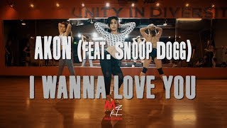 I Wanna Love You  Akon  Brinn Nicole Choreography 