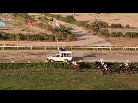 6th Race 1000 Meter Winner Great Recovery | Ridden By Shahbaz Trained By Shahid Rehman |