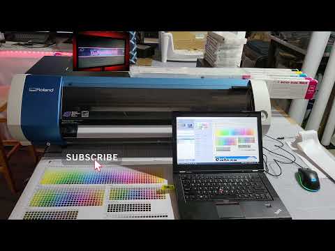 Truth about Roland BN20 🌟 😲 & starting a sticker business with  a BN-20- vinyl print cut machine