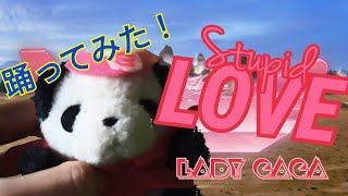 【踊ってみた！】レディーガガのStupid Love踊ってみました！！衣装からつくったよー　#ぬいちゅうばー#踊ってみた#レディーガガ