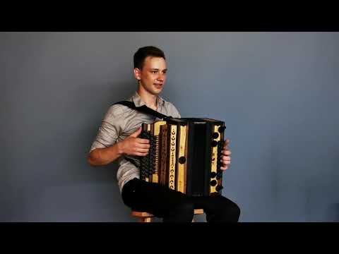 Vom Rebstock zum Wein