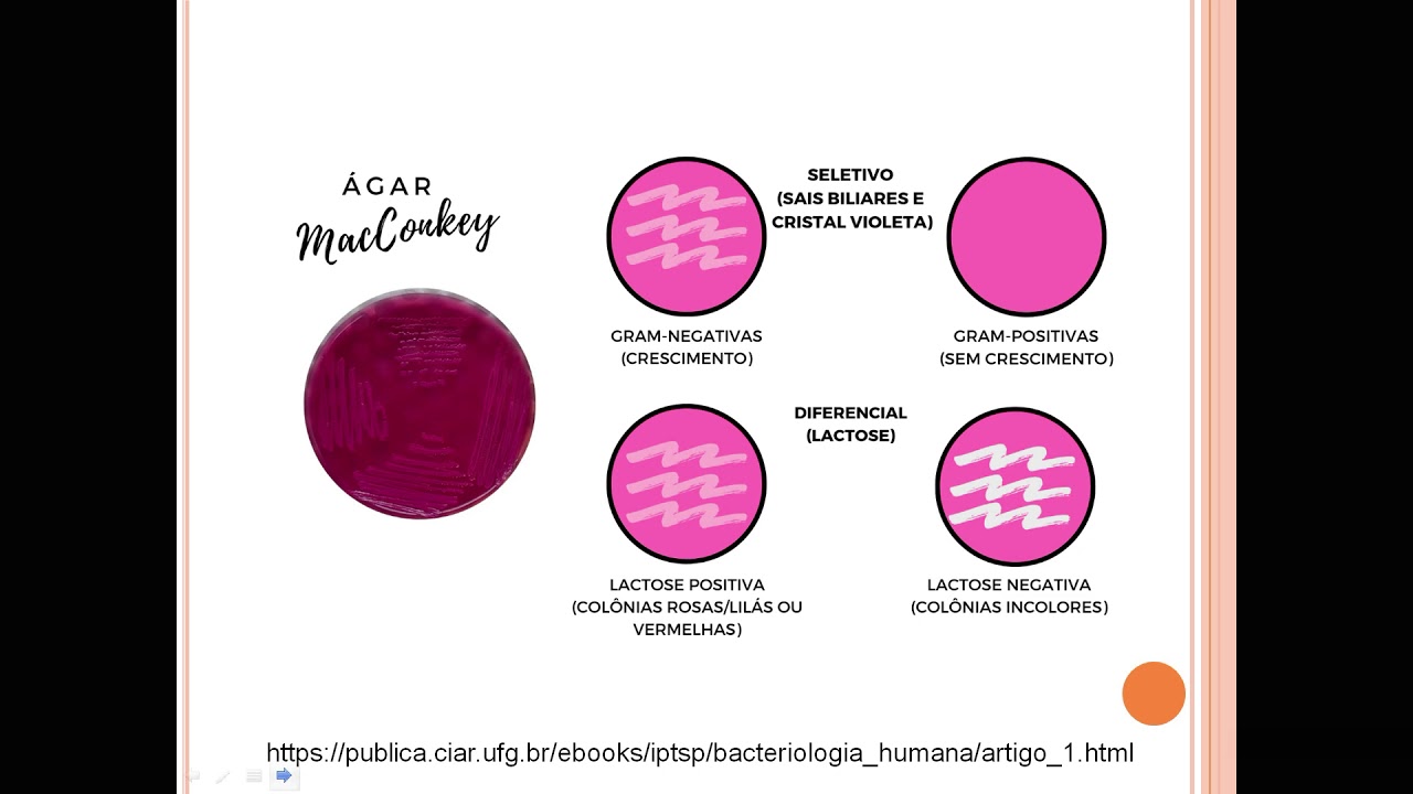 Provas de identificação bactérias gram negativas