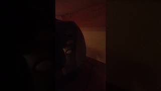 Doctor Jean's Banana Dance (Bilingual English/Spanish Version)