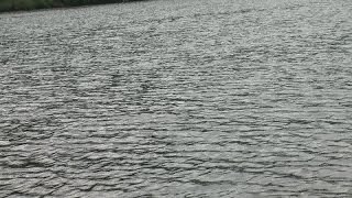 PORTAGE LAKES BASS