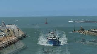 2025 10 09 新屋濱海植物園 永安漁港 濱海植物+28