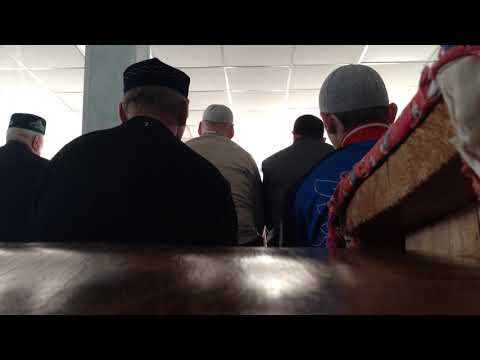 Суеверия, приметы, предрассудки/ Чёрный кот дорогу перейдёт если