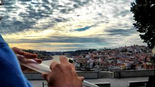 SunSet Flow Crystal Flute euphonia