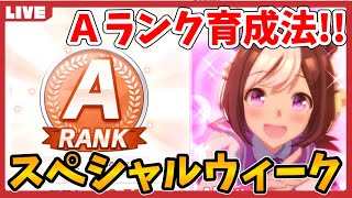 【ウマ娘】スペシャルウィークA育成!!現在Class6のトレーナーが育成わからない人向けに質問お答えします!!/初心者トレーナー歓迎/情報交換/Aランク育成/チーム競技場【プリティーダービー】