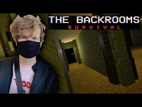 Ranboo Plays The Backrooms: Survival
