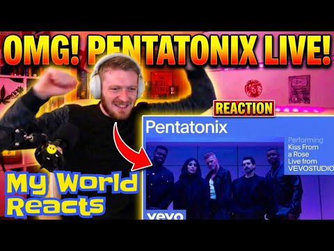 British Guy Reacts To PENTATONIX - Kiss From A Rose / Live 