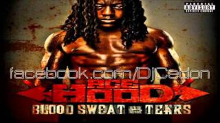 Ace Hood feat. Kevin Cossom - Beautiful [Blood Sweat &amp; Tears] 2011