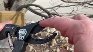 Fiskars Professional Bypass Pruning Shears Review, Some of the best spring loaded bypass pruners I