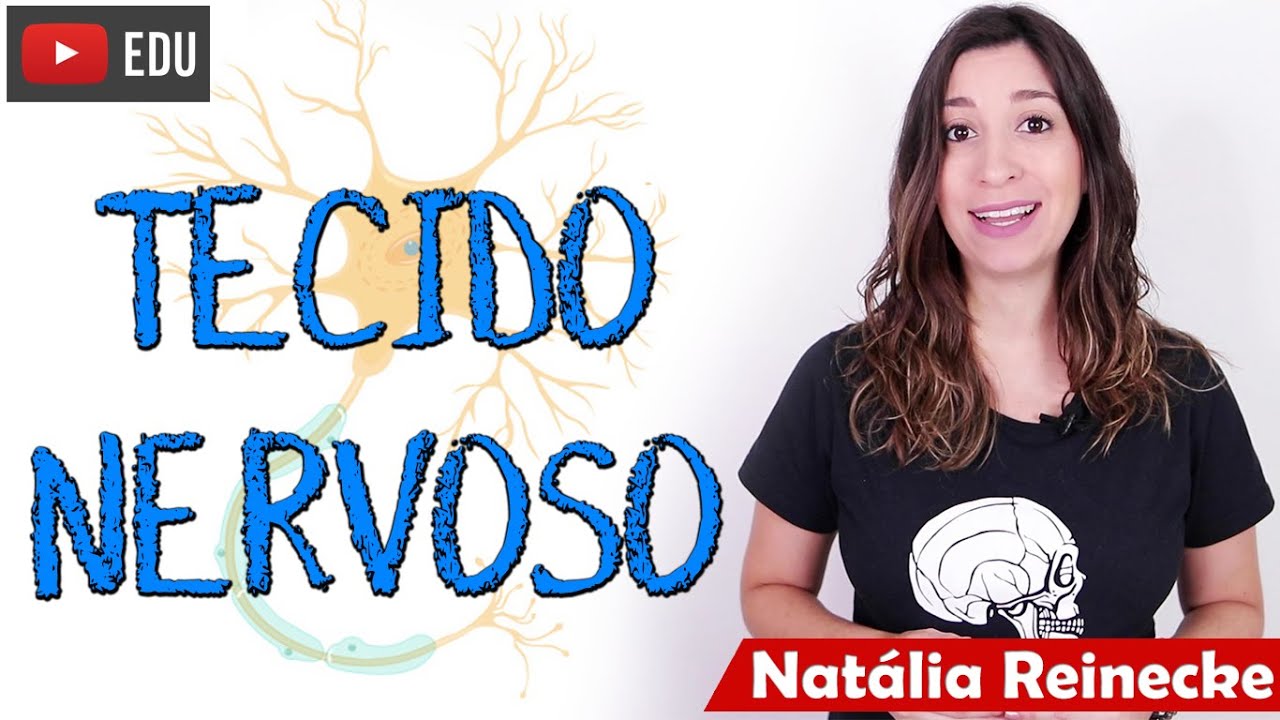 TECIDO NERVOSO (Aula completa) - Natália Reinecke