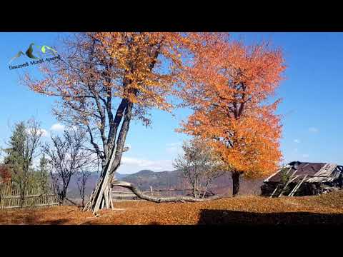 Arieșeni (Sturu - Păntești - Fața Lăpușului)