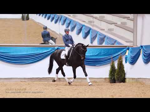 Beau Rivage - Haupt- und Landgestüt Schwaiganger