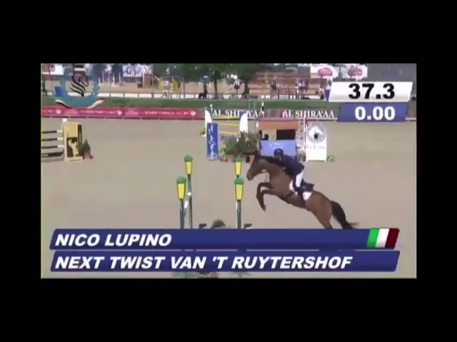 Half-brother of the mother of this Implanted Embryo is the CSI 1.60m jumping horse Next Twist van't Ruytershof with rider Nico Lupino.