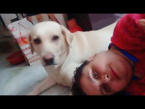 Mutton khate atovalobase zina tebiler kach thake sore na.kalchicken khayecha ajmutton khabe bolebose