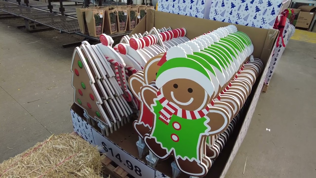 Lowes Shopping  Christmas Garden Center