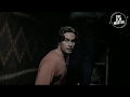 Clip 16 The Breed Movie Clip Dogs In House Dogs Breaking Into House