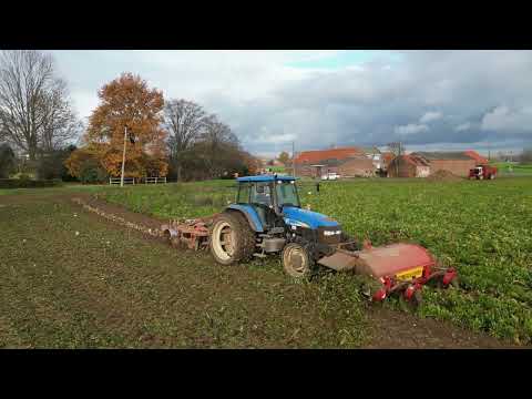 Digging beets with New Holland, Gilles & Dewulf