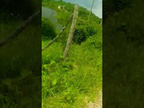 Dando uma volta no meu interior,  Serra da raiz . paraiba .