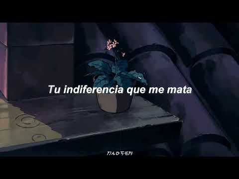 Jhovan Tomasevich -Ya no Volverás//LETRA