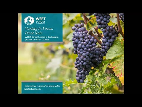 Variety in Focus: Pinot Noir – with Julia Lambeth DipWSET