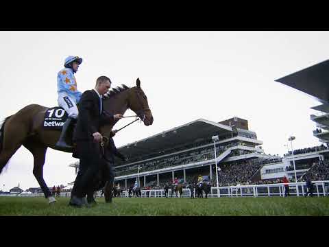 Cheltenham Festival Promo
