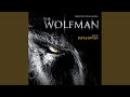 Wolf Suite Pt 1